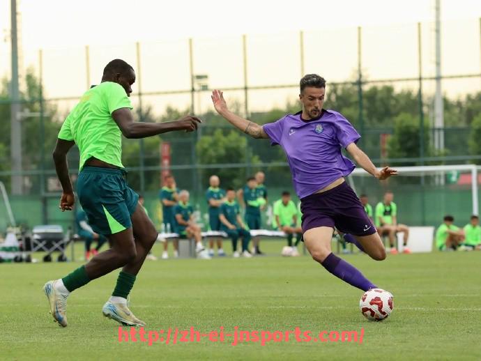 JN江南体育-法甲历史上最佳助攻球员技术特点与战术地位分析